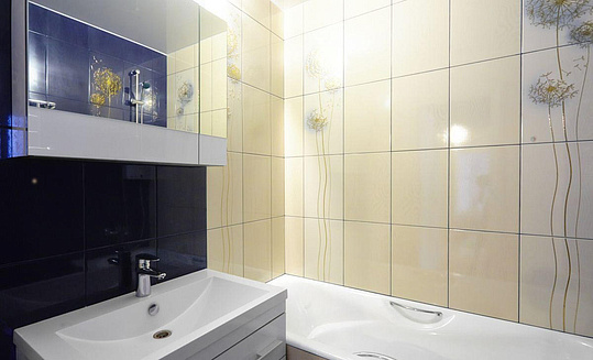 изображение Ванна Roca Malibu 2333G0000 170х70 см с отверстиями для ручек от Магия Воды